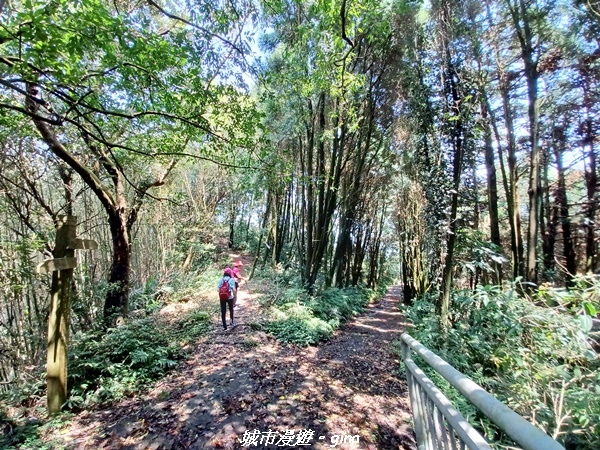 20230402_121513.jpg 20230402_121513.jpg