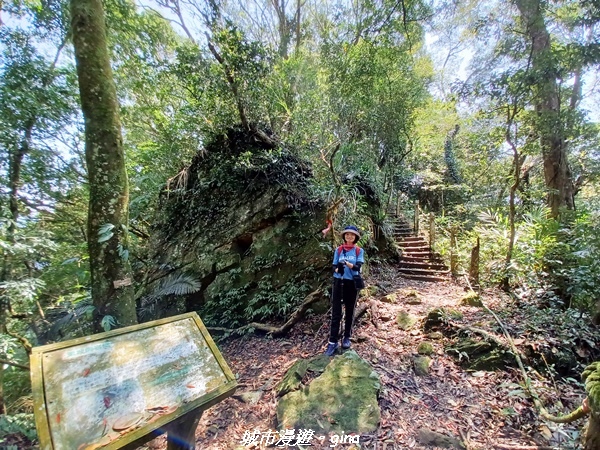 20230402_122037.jpg 20230402_122037.jpg