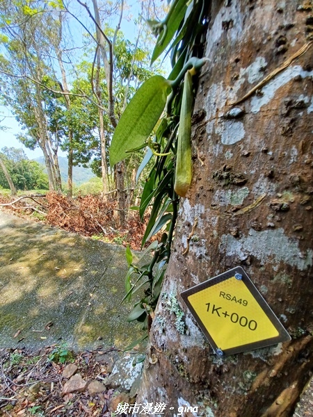 20230402_122937.jpg 20230402_122937.jpg