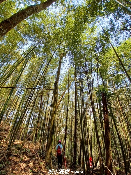 20230402_122228.jpg 20230402_122228.jpg