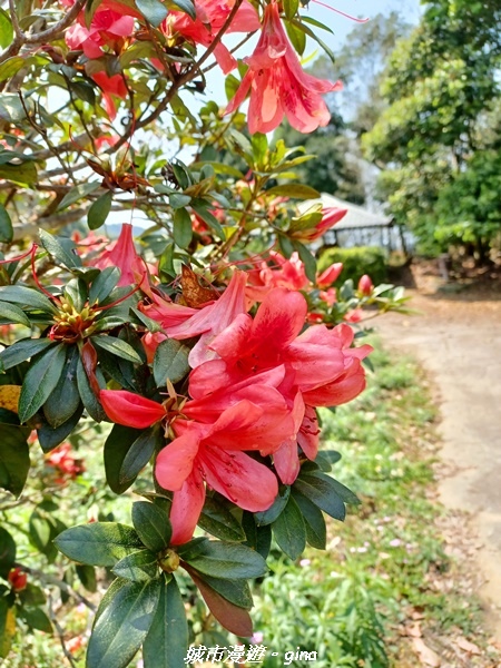 20230402_124326.jpg 20230402_124326.jpg