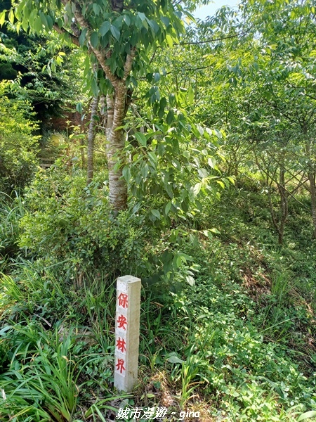 20230402_125151.jpg 20230402_125151.jpg