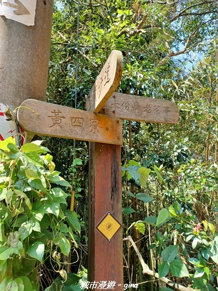 20230402_125717.jpg 20230402_125717.jpg