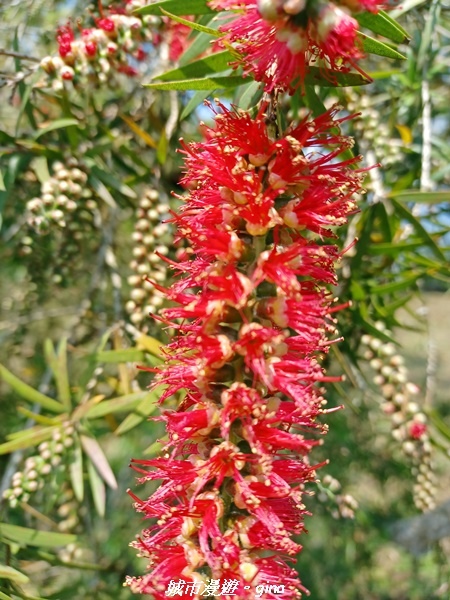 20230402_130632.jpg 20230402_130632.jpg