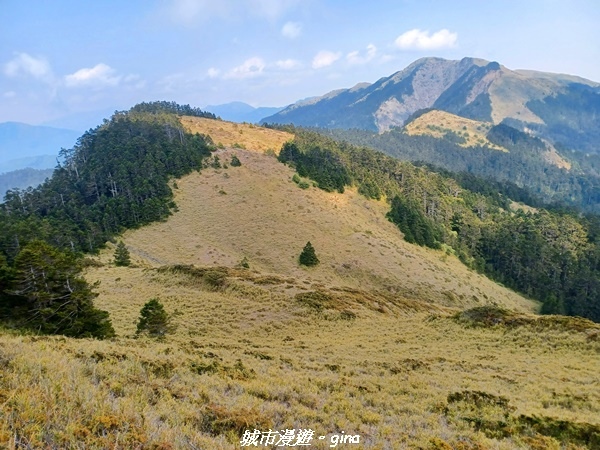 20230403_065200.jpg 20230403_065200.jpg