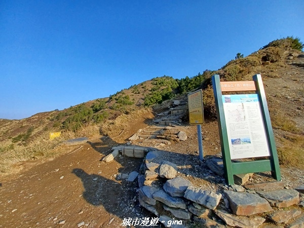 20230403_070037.jpg 20230403_070037.jpg