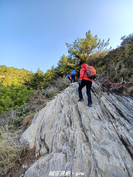 20230403_071516.jpg 20230403_071516.jpg