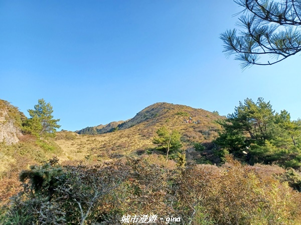 【南投仁愛】真的！回程才是考驗。 合歡西峰登山山徑(合歡北西