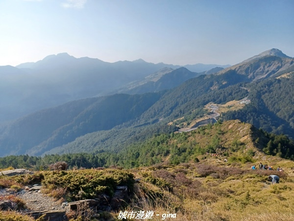 【南投仁愛】真的！回程才是考驗。 合歡西峰登山山徑(合歡北西