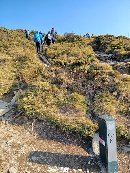 20230403_074449.jpg 20230403_074449.jpg