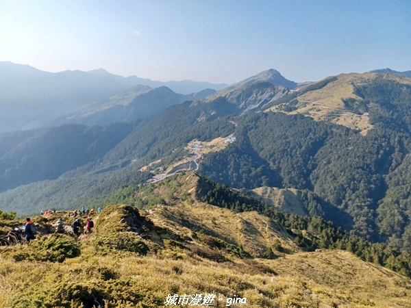 【南投仁愛】真的！回程才是考驗。 合歡西峰登山山徑(合歡北西