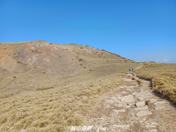 【南投仁愛】真的！回程才是考驗。 合歡西峰登山山徑(合歡北西