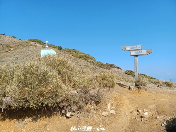 20230403_084030.jpg 20230403_084030.jpg