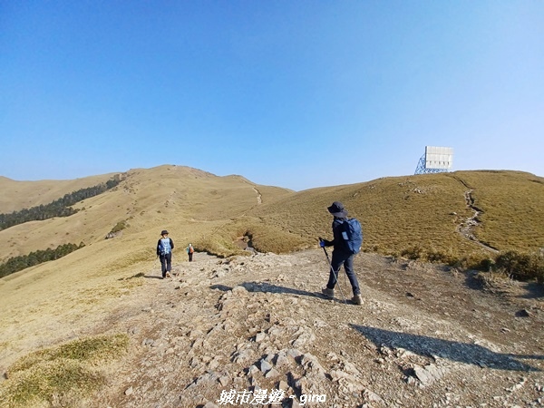 20230403_082157.jpg 20230403_082157.jpg