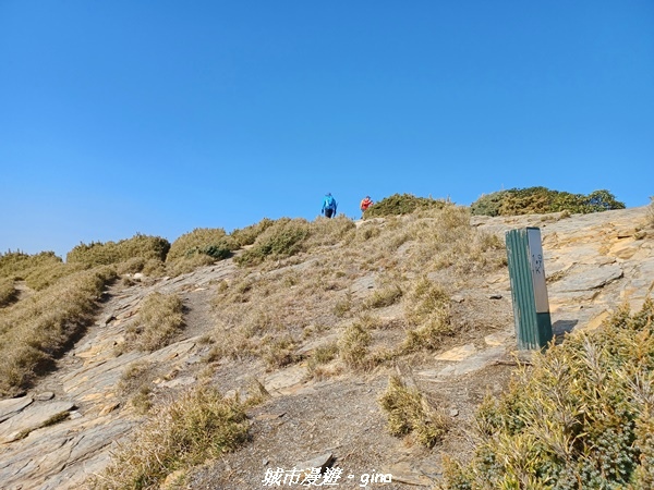 【南投仁愛】真的！回程才是考驗。 合歡西峰登山山徑(合歡北西