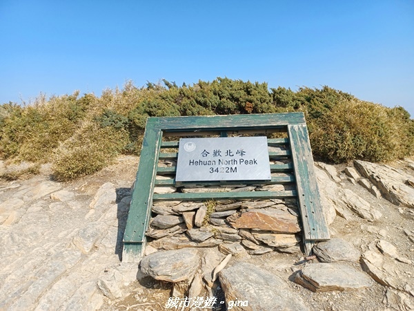 【南投仁愛】真的！回程才是考驗。 合歡西峰登山山徑(合歡北西