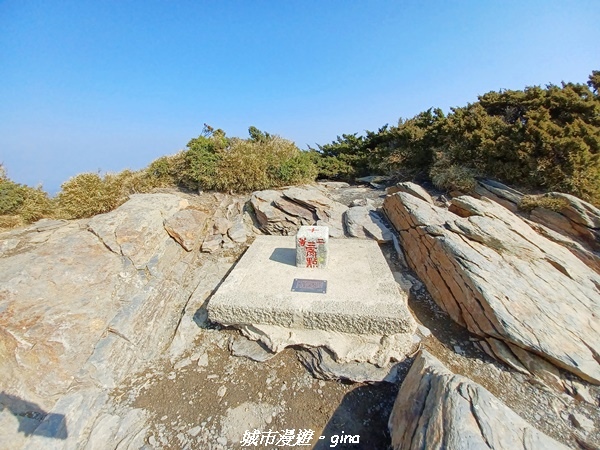 20230403_085027.jpg 20230403_085027.jpg