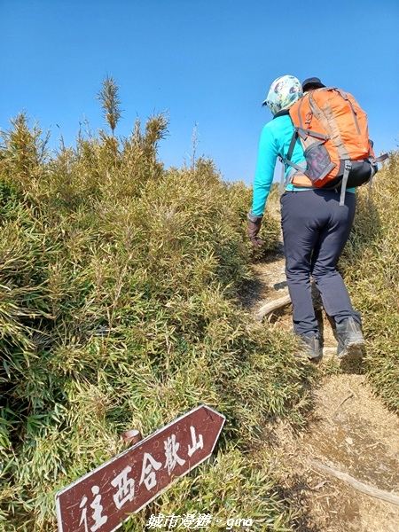 【南投仁愛】真的！回程才是考驗。 合歡西峰登山山徑(合歡北西