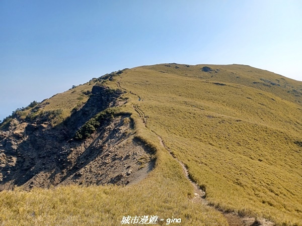 20230403_090507.jpg 20230403_090507.jpg