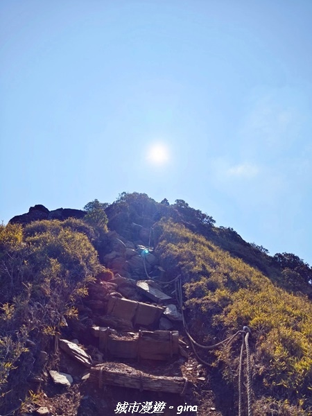 【南投仁愛】真的！回程才是考驗。 合歡西峰登山山徑(合歡北西