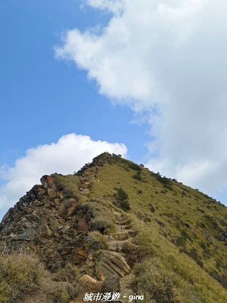 【南投仁愛】真的！回程才是考驗。 合歡西峰登山山徑(合歡北西