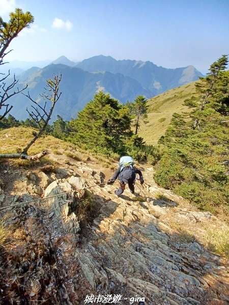 【南投仁愛】真的！回程才是考驗。 合歡西峰登山山徑(合歡北西