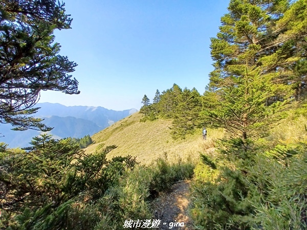 20230403_091611.jpg 20230403_091611.jpg