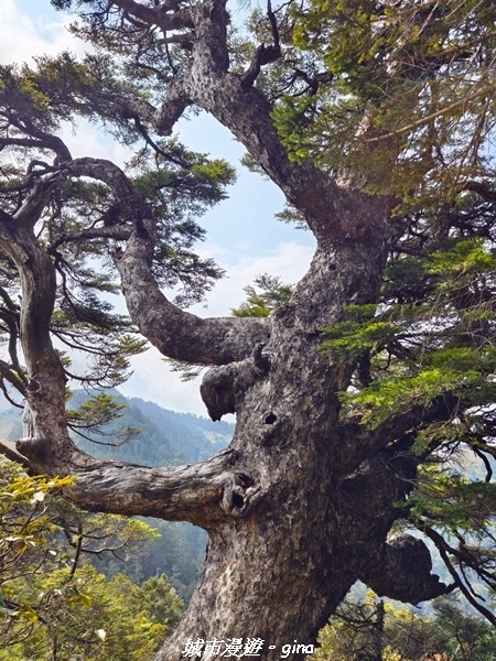 20230403_090513.jpg 20230403_090513.jpg