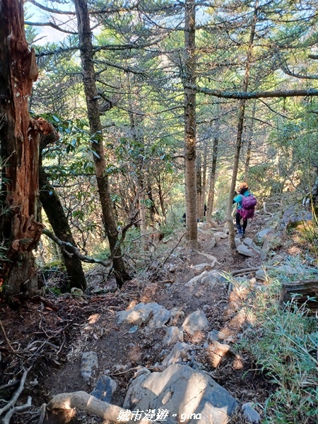 20230403_093701.jpg 20230403_093701.jpg