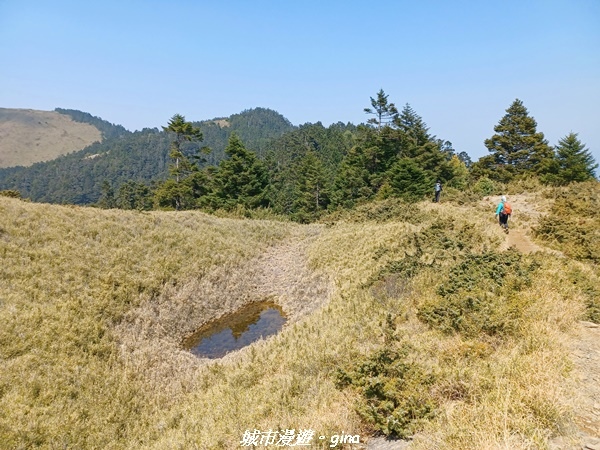 【南投仁愛】真的！回程才是考驗。 合歡西峰登山山徑(合歡北西