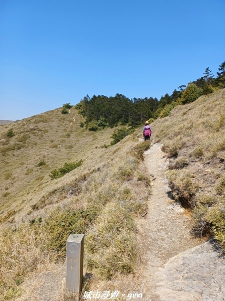 20230403_100604.jpg 20230403_100604.jpg