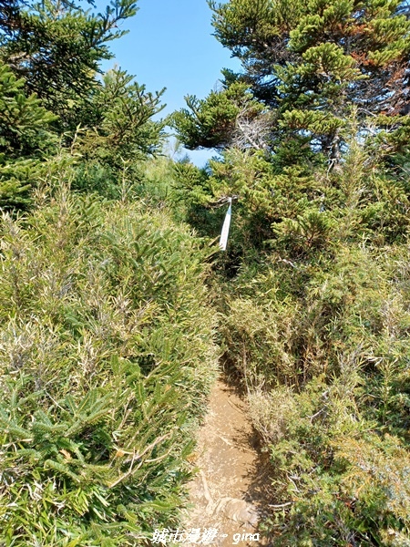 20230403_102224.jpg 20230403_102224.jpg