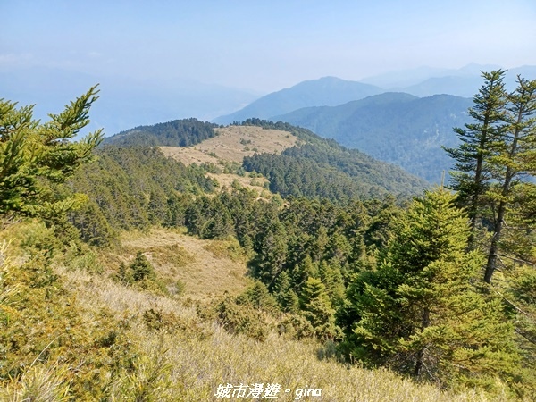 【南投仁愛】真的！回程才是考驗。 合歡西峰登山山徑(合歡北西