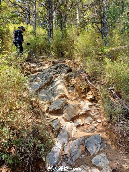 【南投仁愛】真的！回程才是考驗。 合歡西峰登山山徑(合歡北西