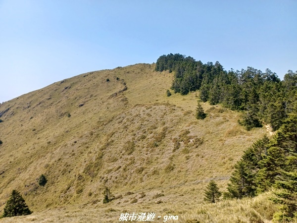 20230403_110338.jpg 20230403_110338.jpg