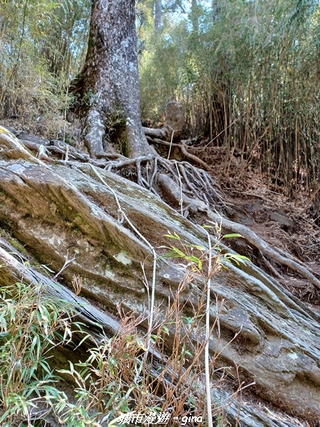 【南投仁愛】真的！回程才是考驗。 合歡西峰登山山徑(合歡北西