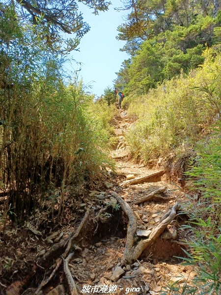 20230403_111516.jpg 20230403_111516.jpg