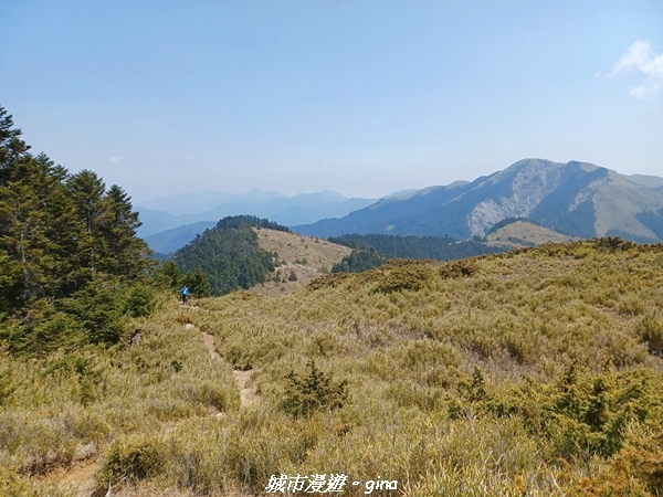 20230403_112641.jpg 20230403_112641.jpg