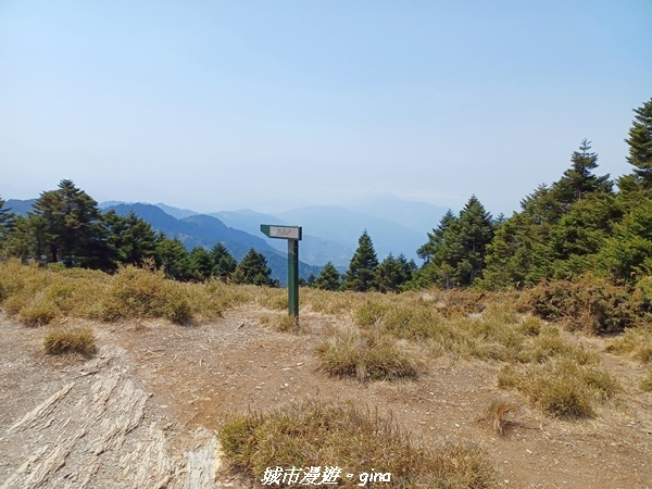 20230403_113031.jpg 20230403_113031.jpg