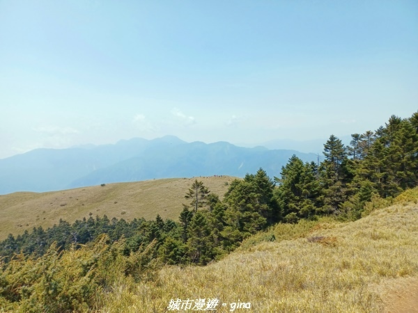 20230403_115320.jpg 20230403_115320.jpg