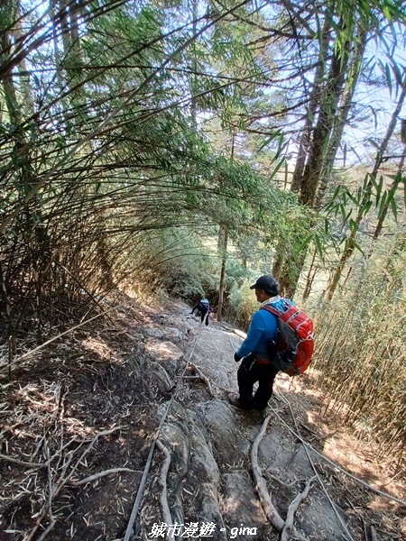 20230403_115826.jpg 20230403_115826.jpg