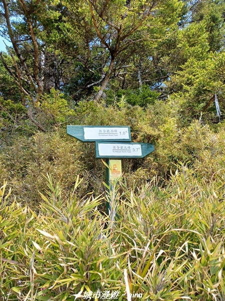 20230403_113043.jpg 20230403_113043.jpg