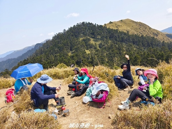 【南投仁愛】真的！回程才是考驗。 合歡西峰登山山徑(合歡北西