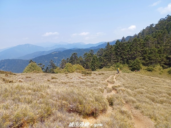 20230403_124259.jpg 20230403_124259.jpg