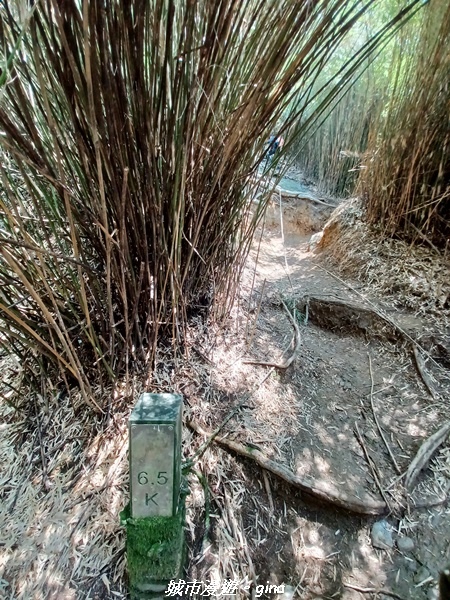 20230403_124643.jpg 20230403_124643.jpg