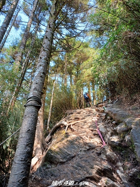 20230403_124850.jpg 20230403_124850.jpg