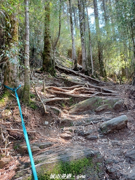 20230403_125200.jpg 20230403_125200.jpg