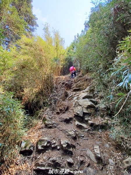 20230403_125529.jpg 20230403_125529.jpg