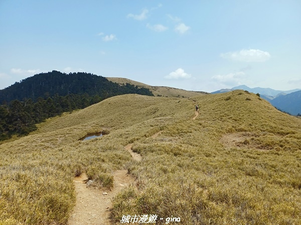 20230403_130339.jpg 20230403_130339.jpg