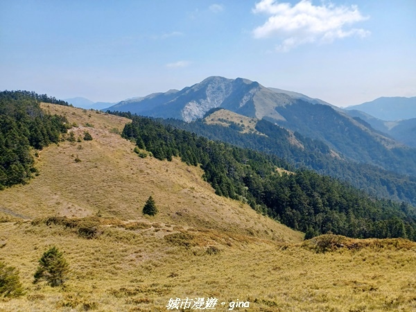 【南投仁愛】真的！回程才是考驗。 合歡西峰登山山徑(合歡北西